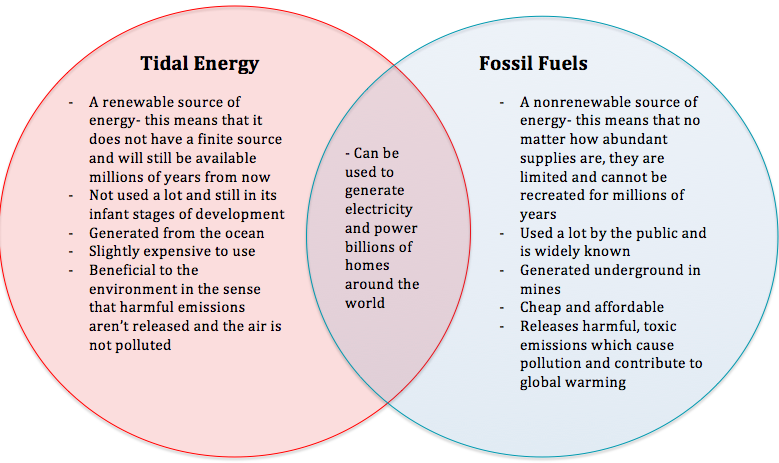 Fossil Fuels and Tidal Energy - Tidal Energy